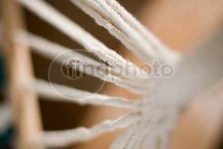 dettaglio immagine DSC_8581