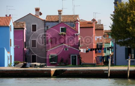 dettaglio immagine DSC_3792