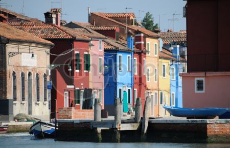 dettaglio immagine DSC_3794