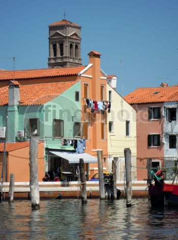 dettaglio immagine DSCN0918