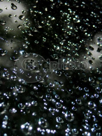 dettaglio immagine After the rain