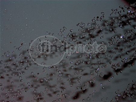 dettaglio immagine Shower