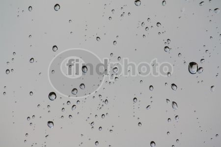 dettaglio immagine IMG_4730