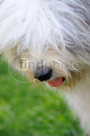 dettaglio immagine DSC_4525