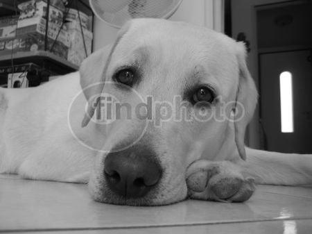 dettaglio immagine IMG_3574