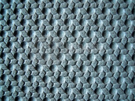 dettaglio immagine DSCN2514