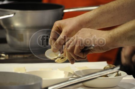 dettaglio immagine DSC_7257