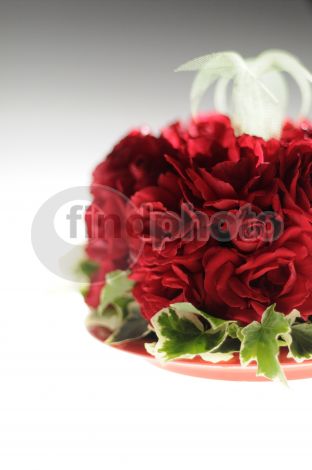 dettaglio immagine _DSC0278