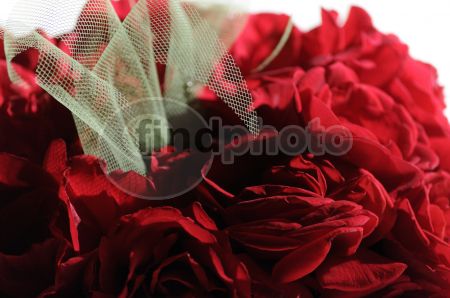 dettaglio immagine _DSC0244