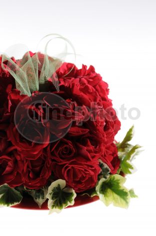 dettaglio immagine _DSC0248