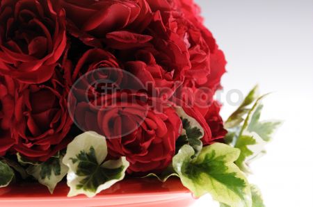 dettaglio immagine _DSC0250