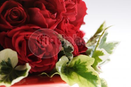 dettaglio immagine _DSC0251