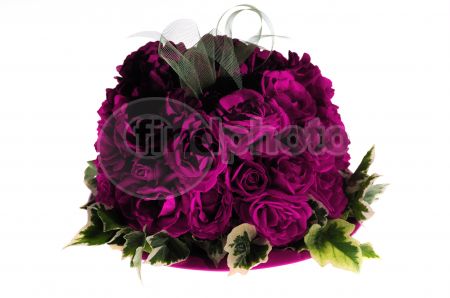 dettaglio immagine _DSC0240