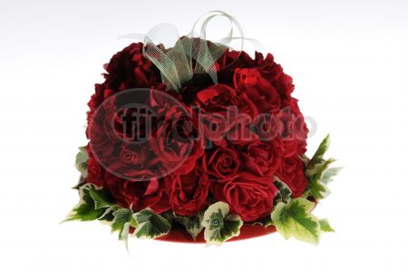 dettaglio immagine _DSC0241