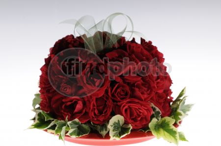 dettaglio immagine _DSC0242