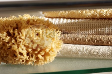 dettaglio immagine 0024