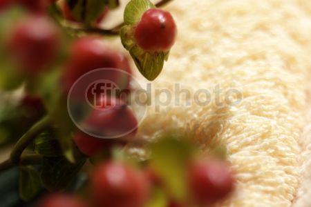 dettaglio immagine 0031