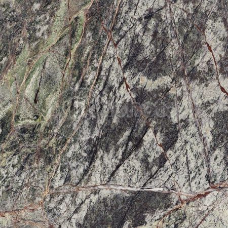 dettaglio immagine 254