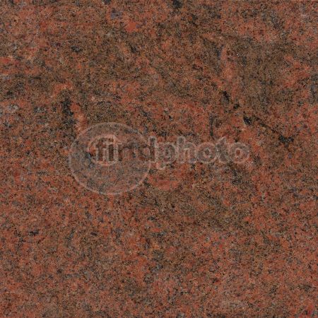 dettaglio immagine 255