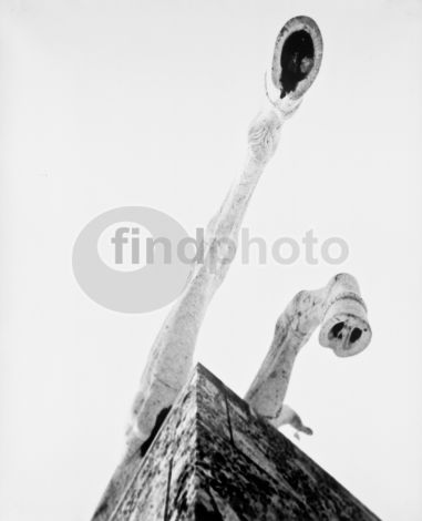 dettaglio immagine rm-2