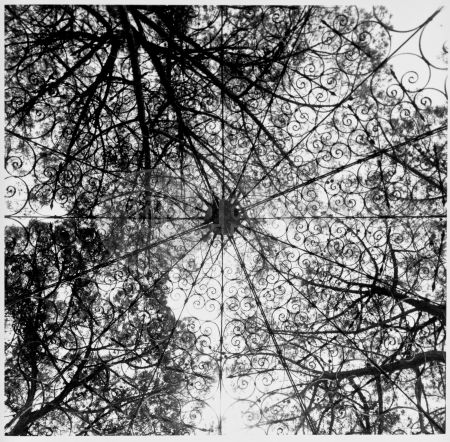 dettaglio immagine rm-9