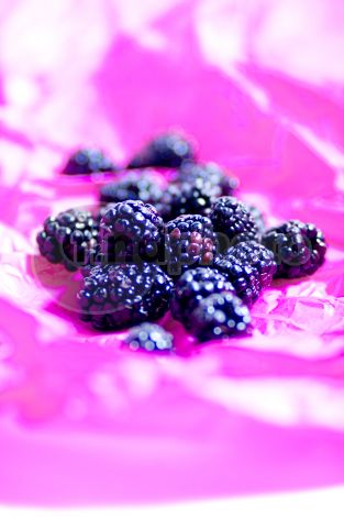 dettaglio immagine FR-76