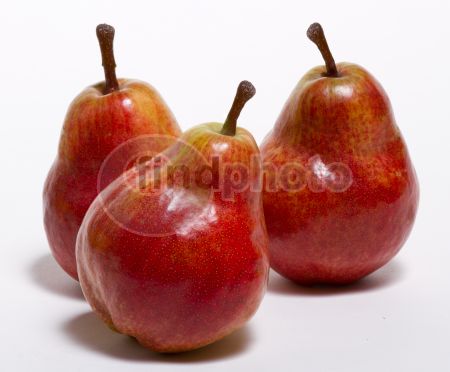 dettaglio immagine FR-18