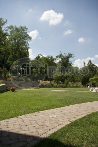 dettaglio immagine DSC_5962