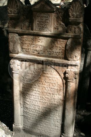 dettaglio immagine Rabbi