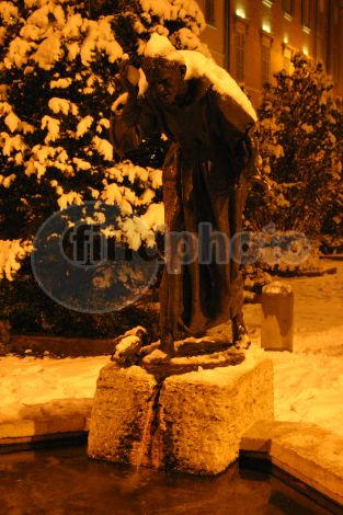 dettaglio immagine Fontana