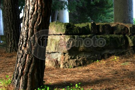 dettaglio immagine Tomba