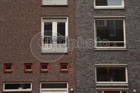 dettaglio immagine IMG_5898-160510