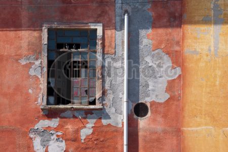 dettaglio immagine IMG_9472-140811