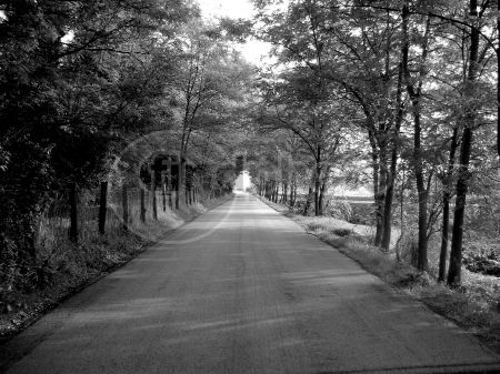 dettaglio immagine DSCN0014-2-111010