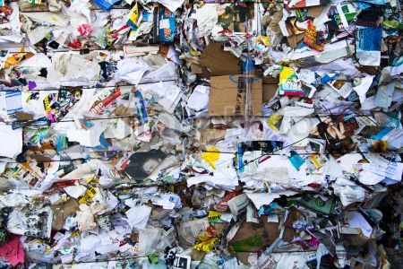 dettaglio immagine IMG_9691-110811