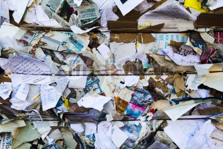 dettaglio immagine IMG_9706-110811