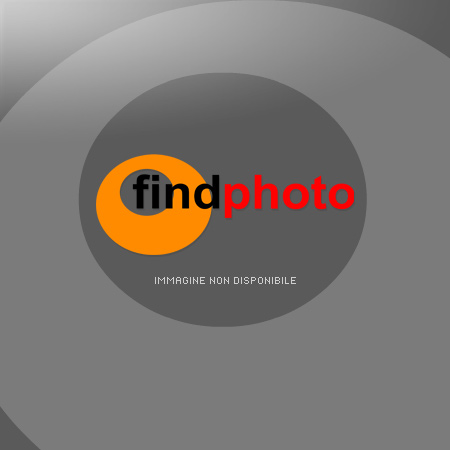 dettaglio immagine 